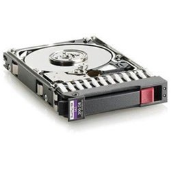 HP 300Gb SAS 10K 6G 2.5 DP HDD