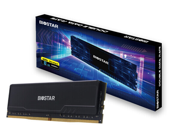 Biostar Storming V 8GB (1 x 8GB) DDR4 3200 MHz, CL16 Memory (XMP)
