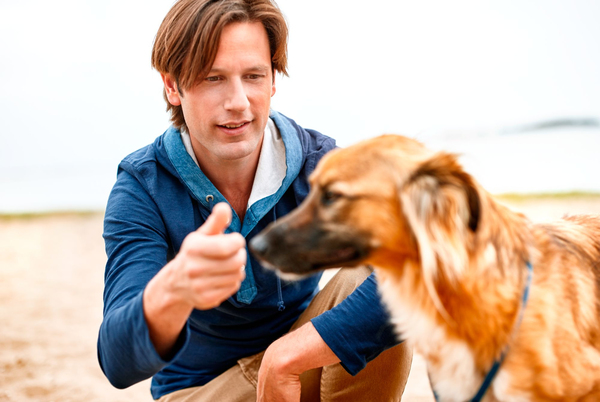 Philips S1310 shaver, Li-Ion