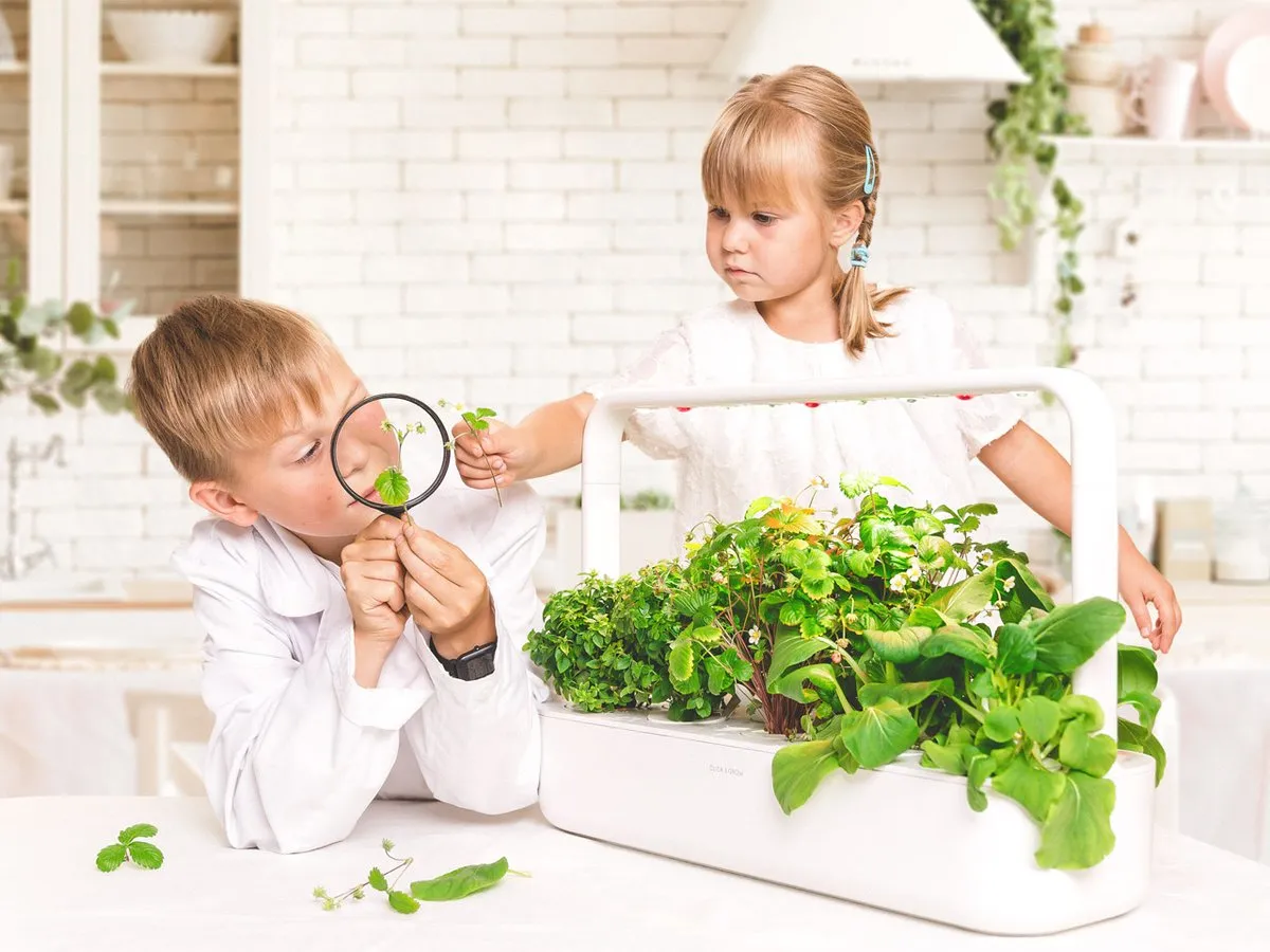 Click and Grow Smart Garden 9 Start kit - Dark Gray