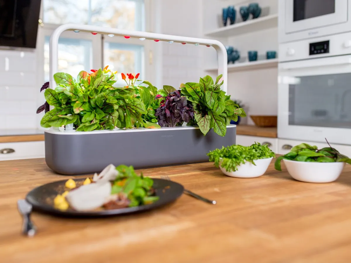 Click and Grow Smart Garden 9 Start kit - Dark Gray