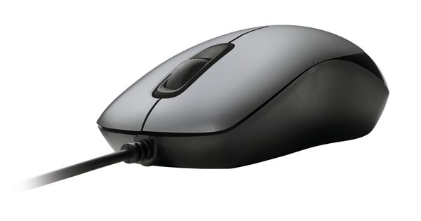 Trust Compact - mouse, Grey
