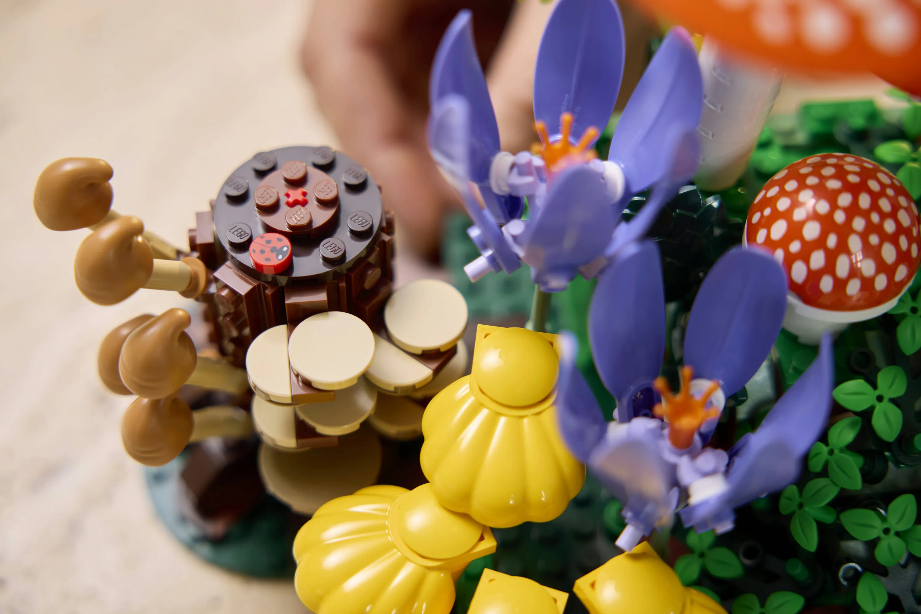 LEGO Botanicals Woodland Mushrooms 11505