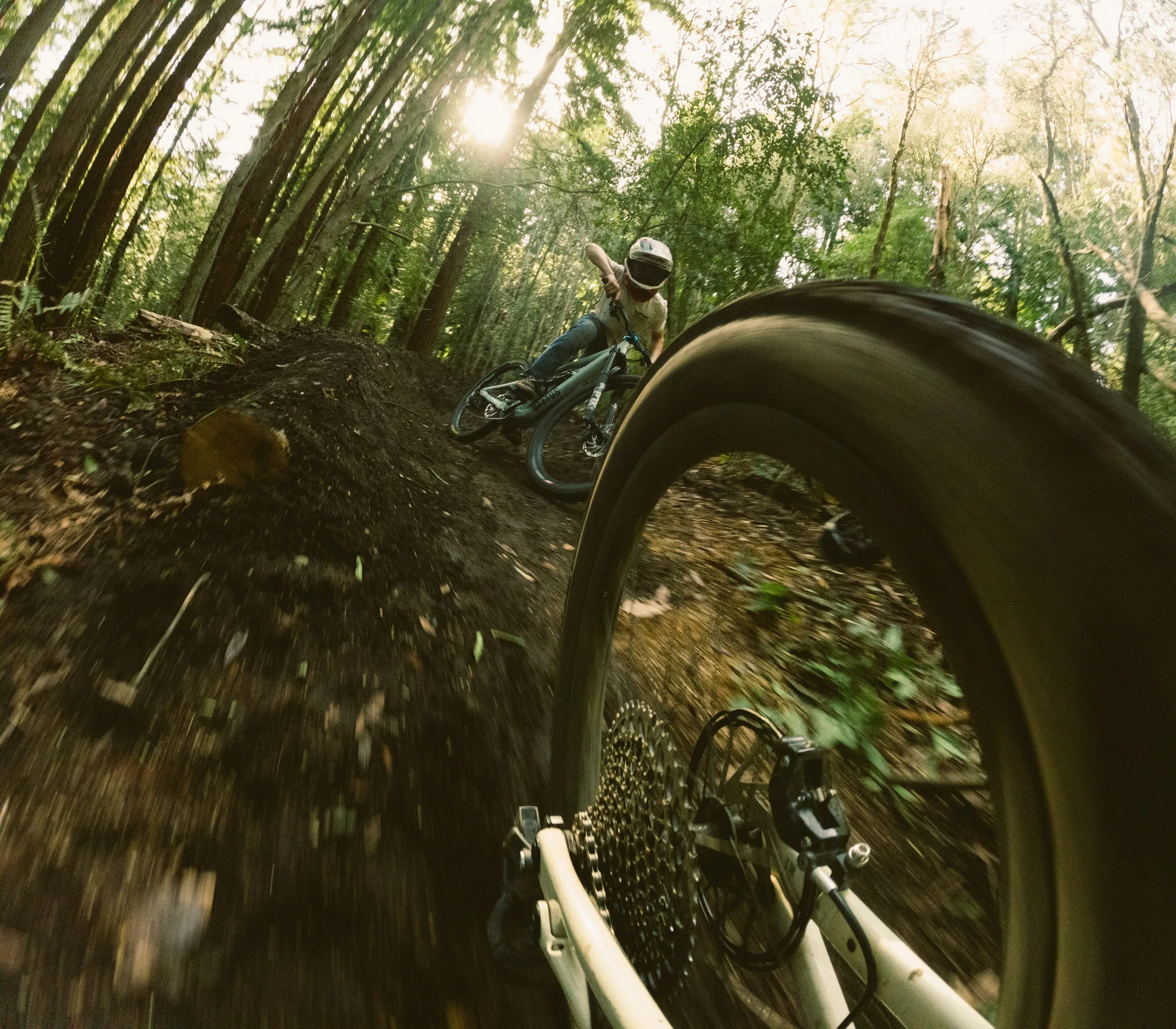 GoPro Boom + Adhesive Mounts