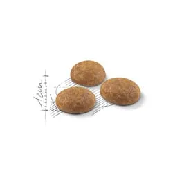 Royal Canin Outdoor, Dry food for cats, Adult, 4kg