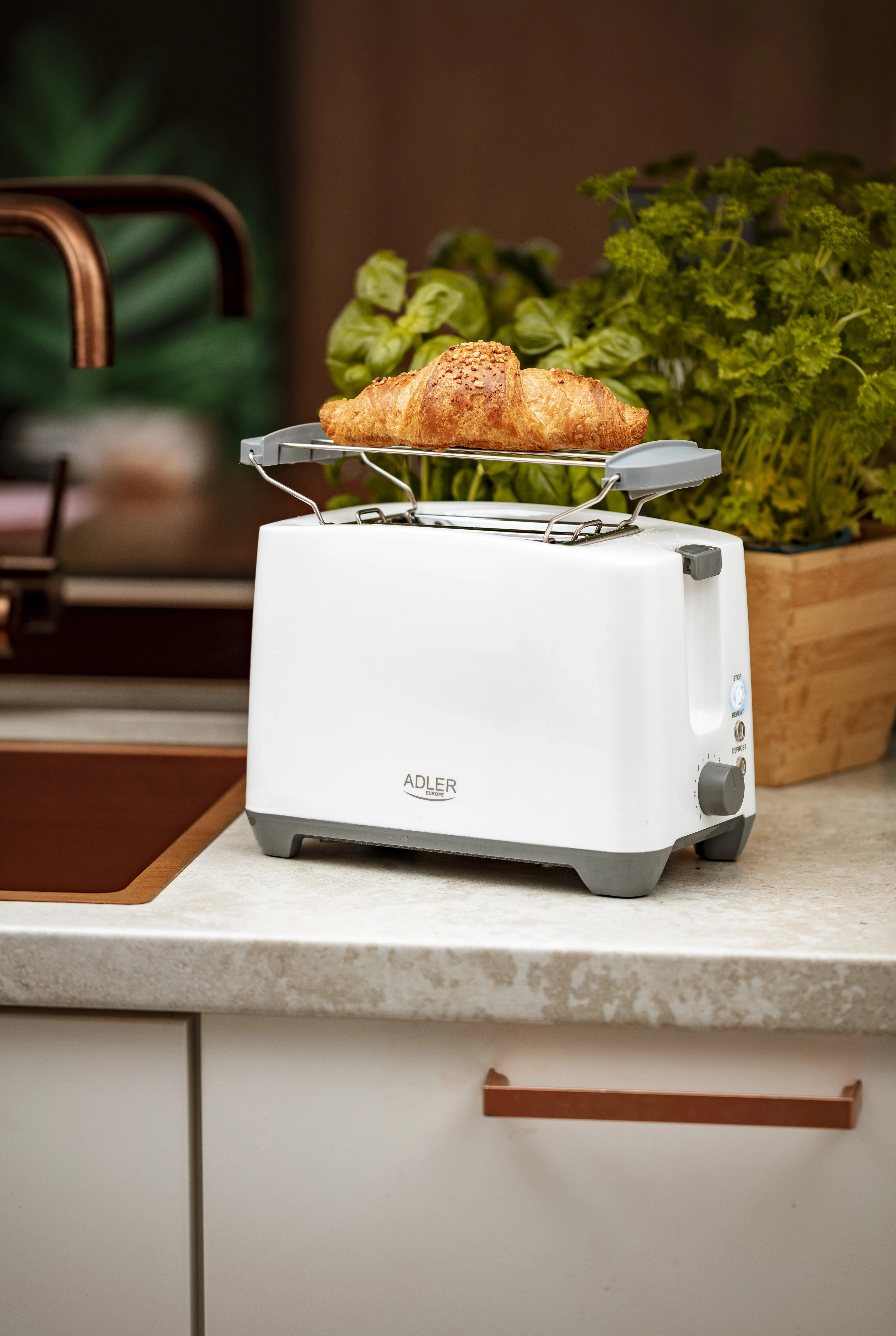 Adler AD 3216 2-Slice Toaster, 750 W, White