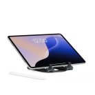 Twelve South Curve Mini - Slate