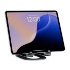 Twelve South Curve Mini - Slate