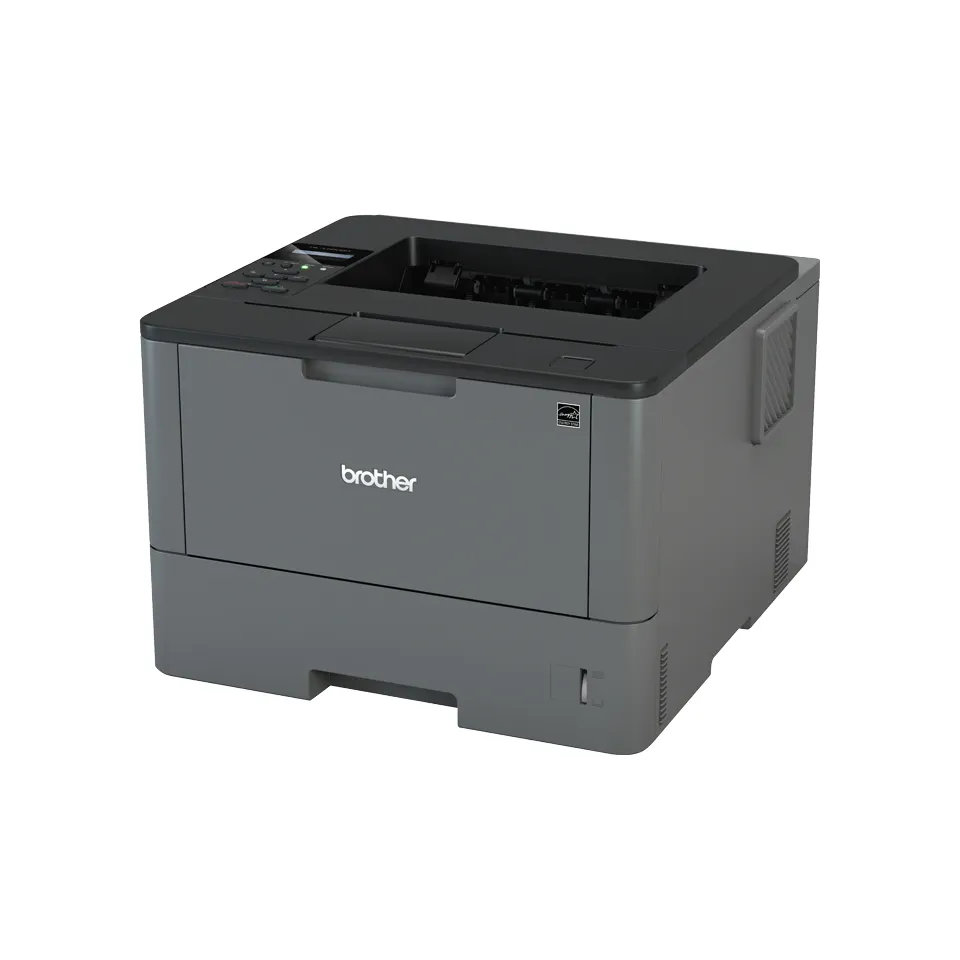 Brother HL-L5000D Duplex Mono Laser Printer