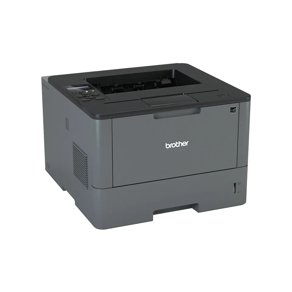 Brother HL-L5000D Duplex Mono Laser Printer