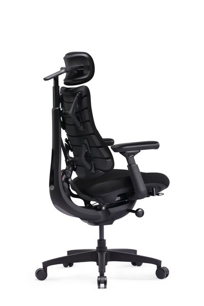 LiberNovo Omni SE Dynamic - Ergonomisk stol, 48cm Obsidian Black
