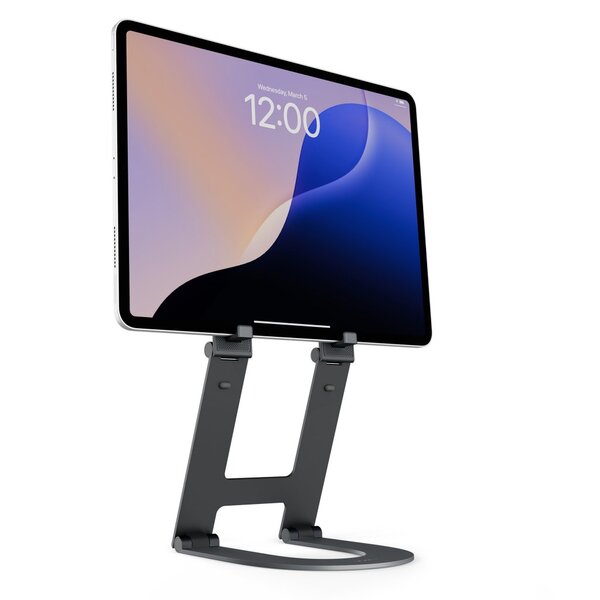 Twelve South Curve Mini  - Slate