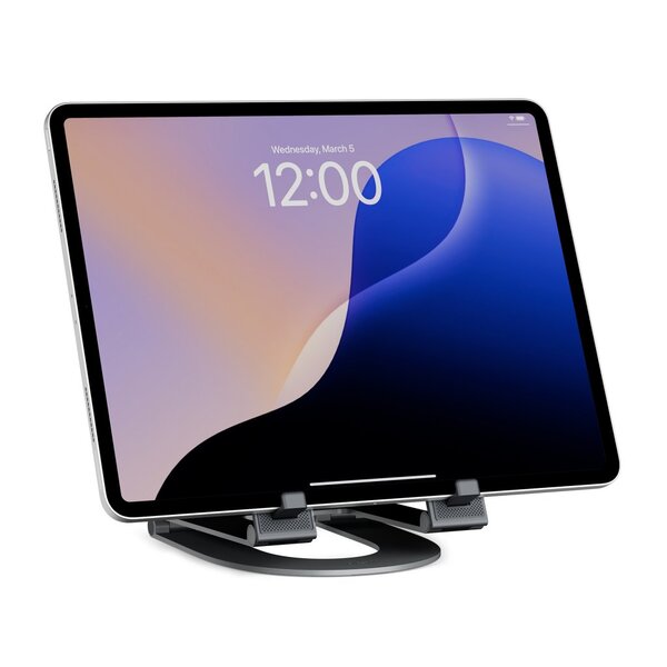 Twelve South Curve Mini  - Slate