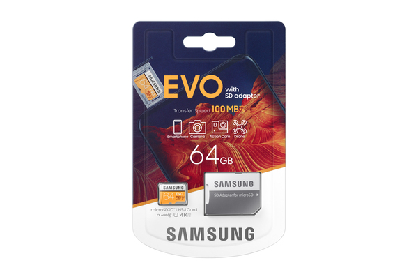 Samsung EVO 64 GB