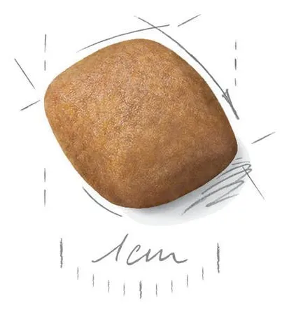 Royal Canin Pomeranian Adult, Koiran kuivaruoka, 1,5 kg