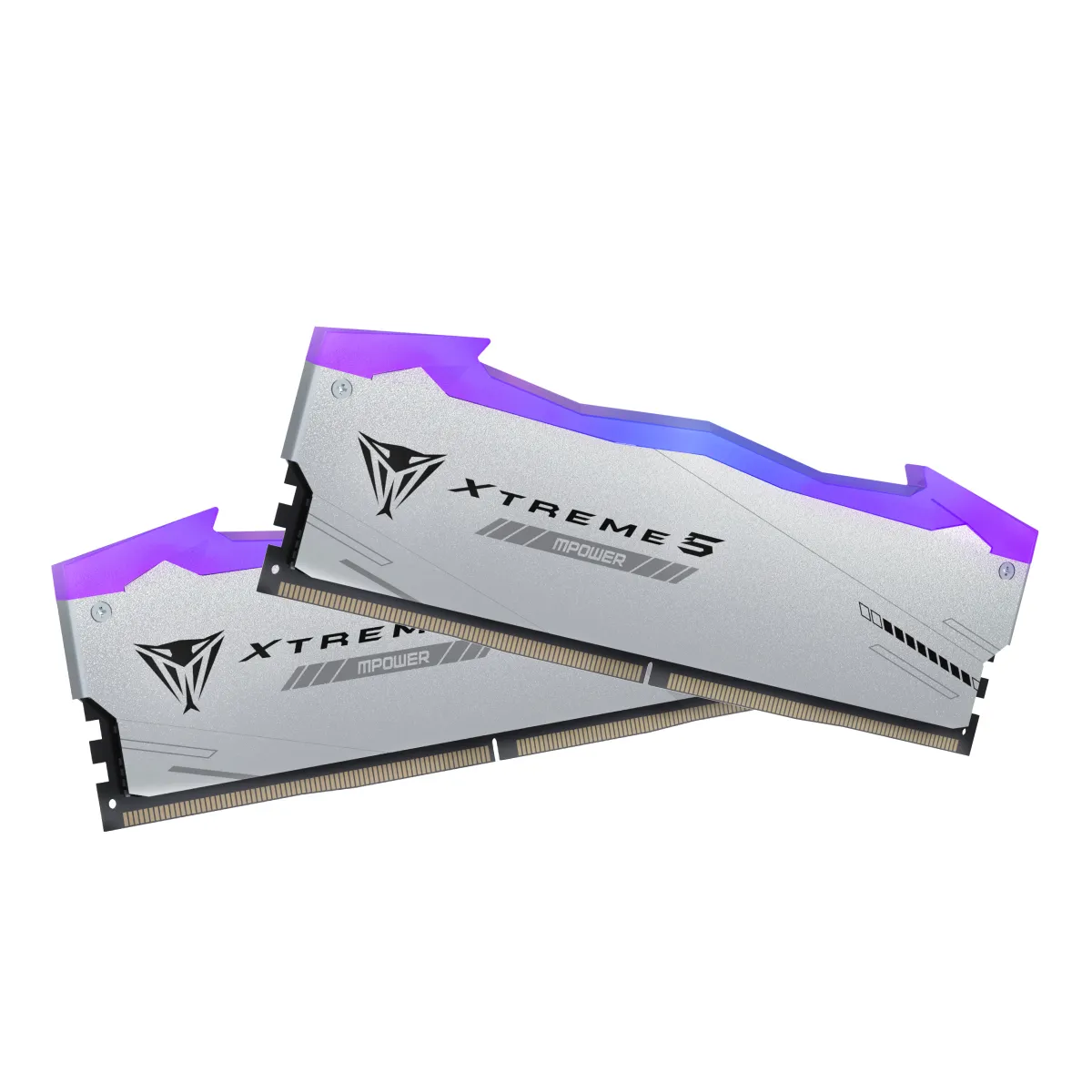 Patriot Viper Xtreme 5 RGB 48GB (2 x 24GB) DDR5 8000 MHz, CL38 Memory, Silver (XMP)