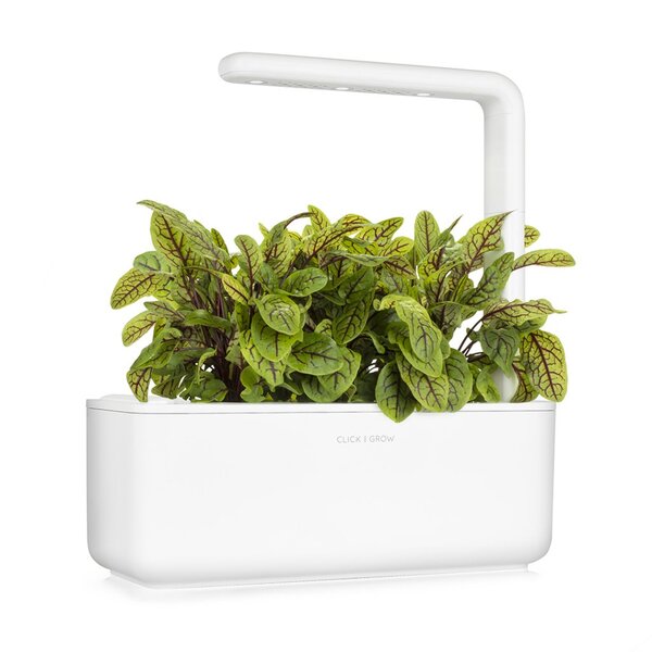 Click and Grow Smart Garden Refill 3-pack - Bloody Sorrel