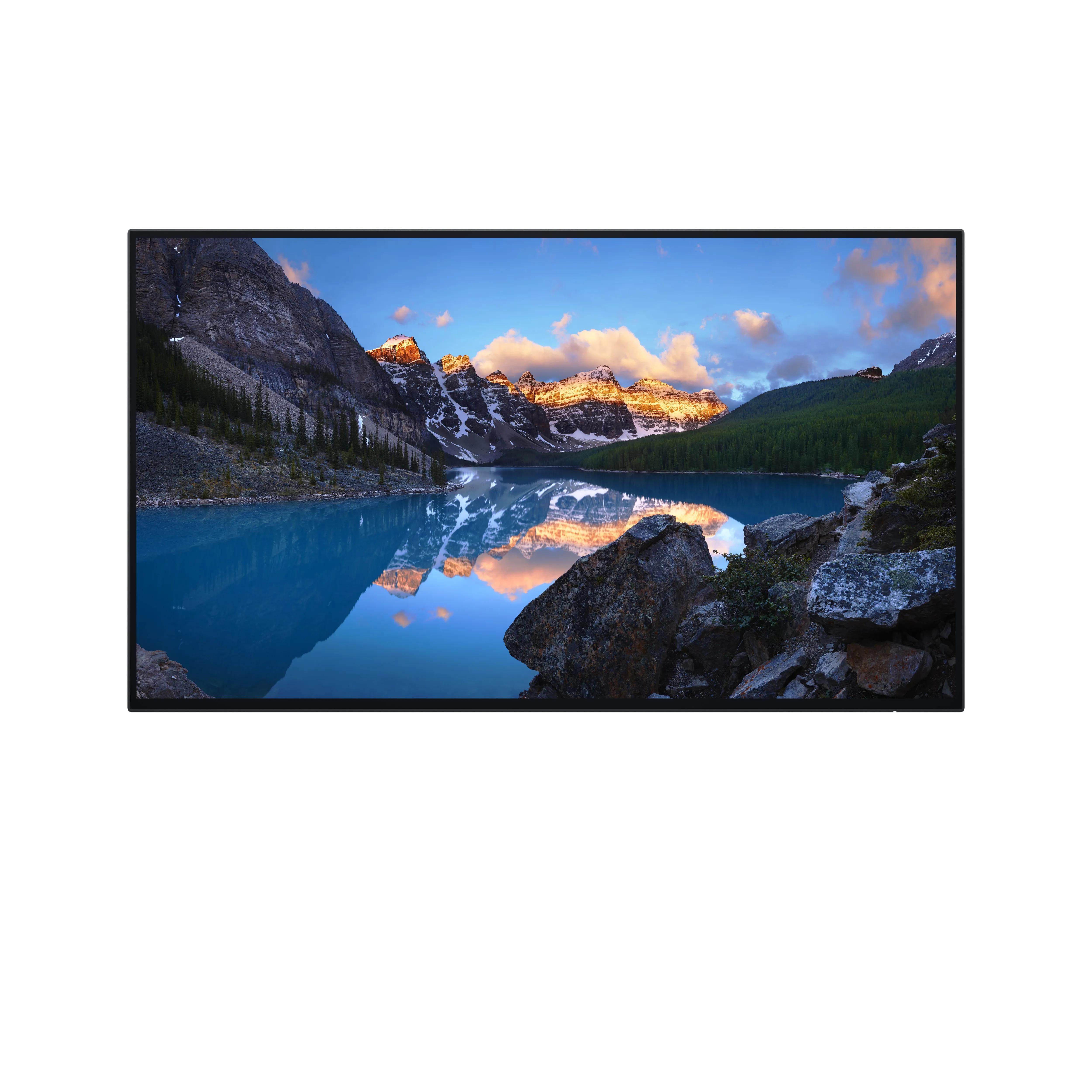 Dell UltraSharp U2424H_WOST 24" Full HD, USB-C, IPS - monitor (no stand)