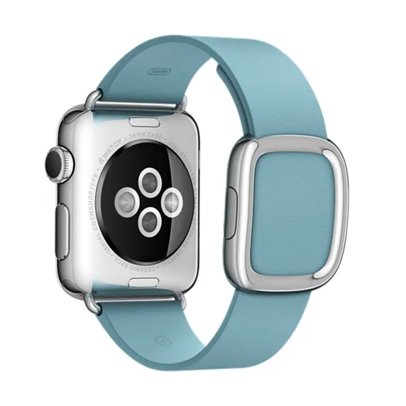 APPLE 38mm Blue Jay Modern Buckle - Large