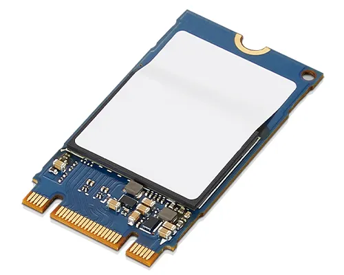 ThinkPad 1TB PCIe NVMe M.2 2242 SSD