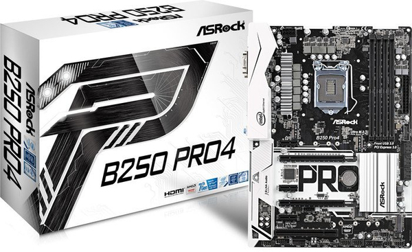 MB Intel 1151 ASRock B250 Pro4       KBL