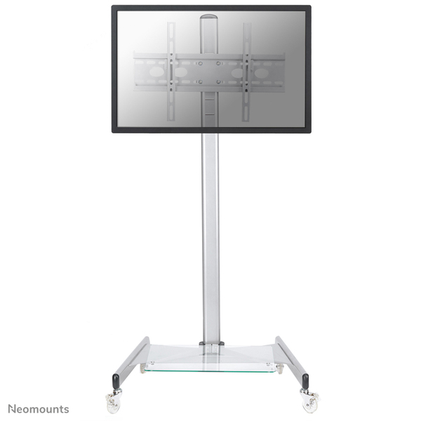 NewStar PLASMA-M1600 - Teline tuotteelle LCD nestekiden&auml;ytt&ouml; / plasma TV - hopea -n&auml;yt&ouml;n koko: 27"-70" -kiinnitysliit&auml;nt&auml;: 100 x 100 mm - lattialla seisova