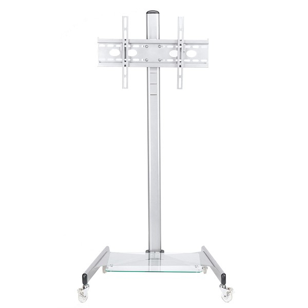 NewStar PLASMA-M1600 - Teline tuotteelle LCD nestekiden&auml;ytt&ouml; / plasma TV - hopea -n&auml;yt&ouml;n koko: 27"-70" -kiinnitysliit&auml;nt&auml;: 100 x 100 mm - lattialla seisova