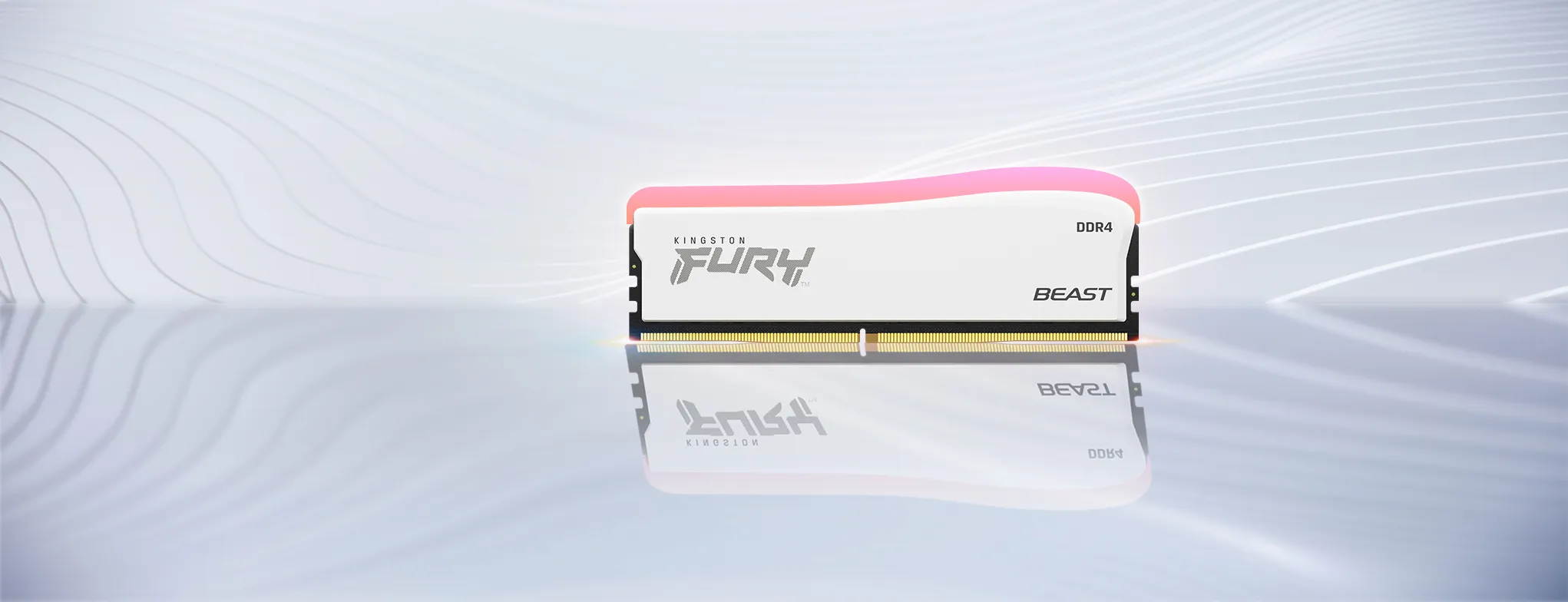 Kingston FURY Beast RGB SE 32 Gt (2 x 16 Gt) DDR4 3600 MHz, CL18 -muisti, Valkoinen