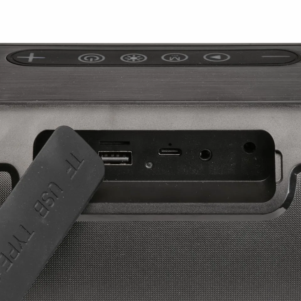 DENVER BTG-616 2.0 Bluetooth Portable speaker, Black