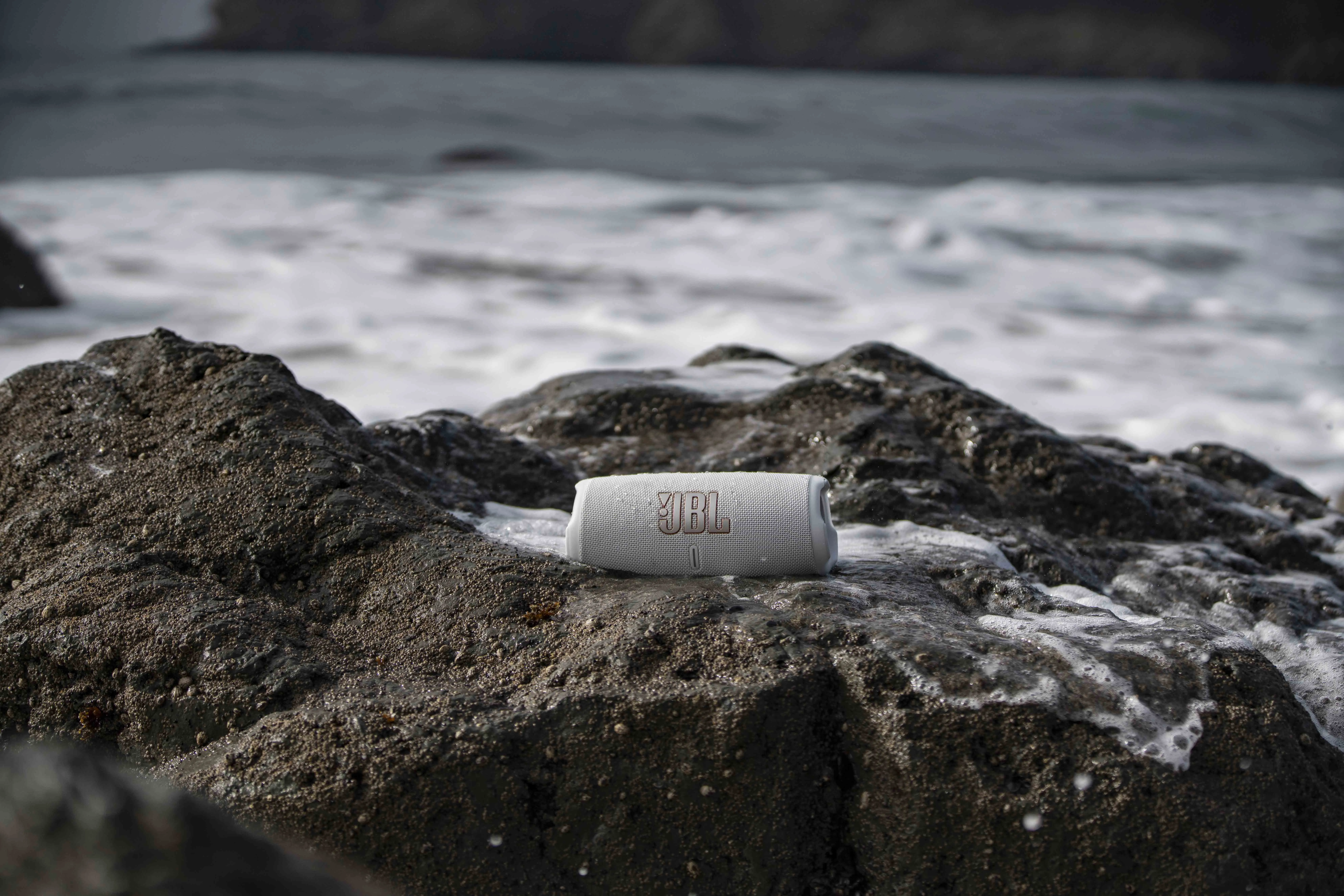 JBL Charge 5 - Bluetooth-högtalare, Squad