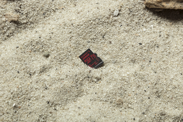 Kingston 64 GB Canvas React MicroSD + SD adapter