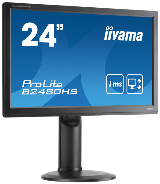 Dis 24 IIyama PL B2480HS-B2