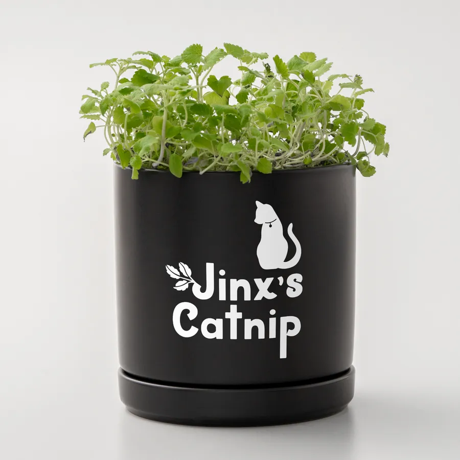 Cricut Joy Xtra Smart Vinyl Removable 91cm White