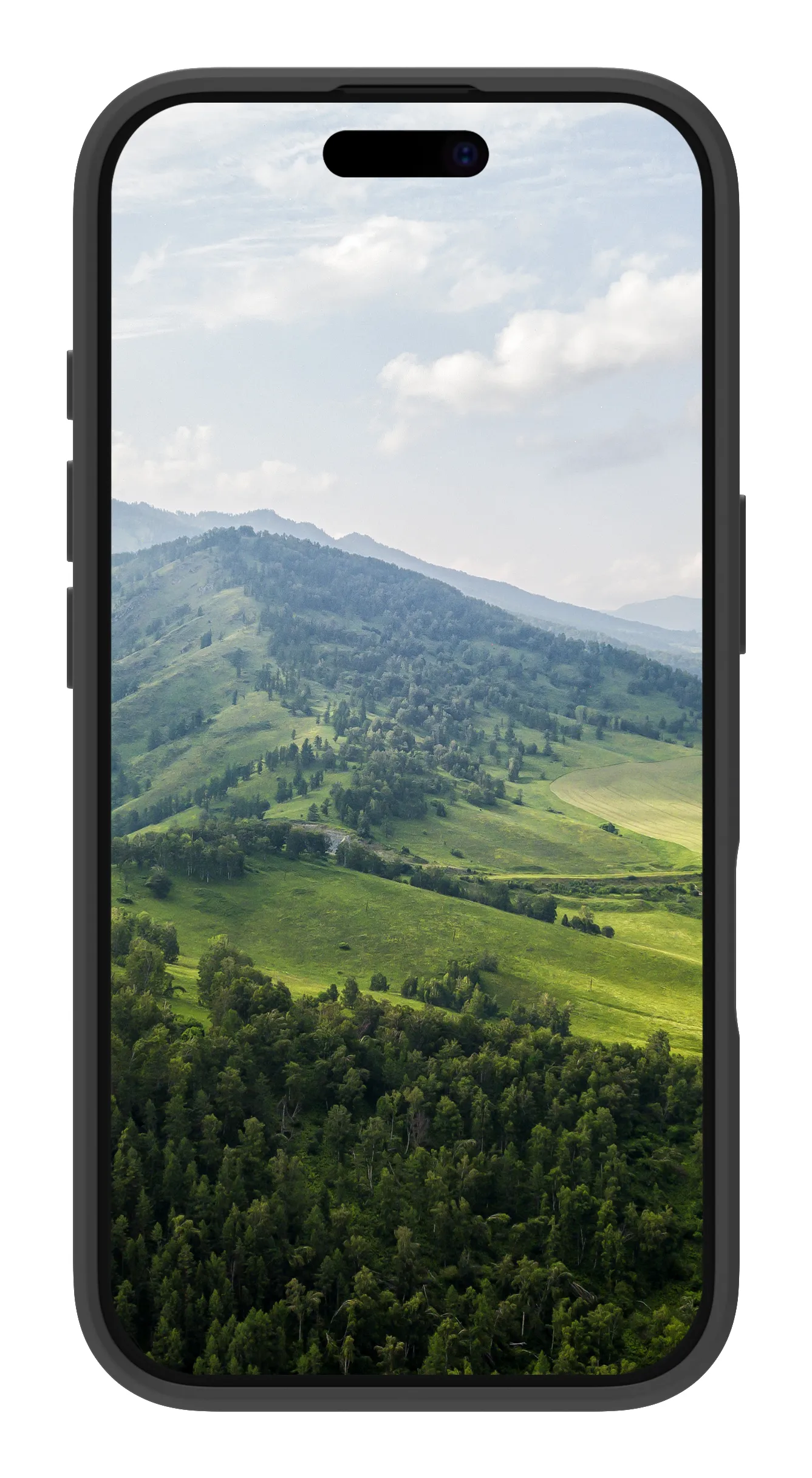 Dbramante1928 Greenland, iPhone 16 Pro Max - Case, Night Black