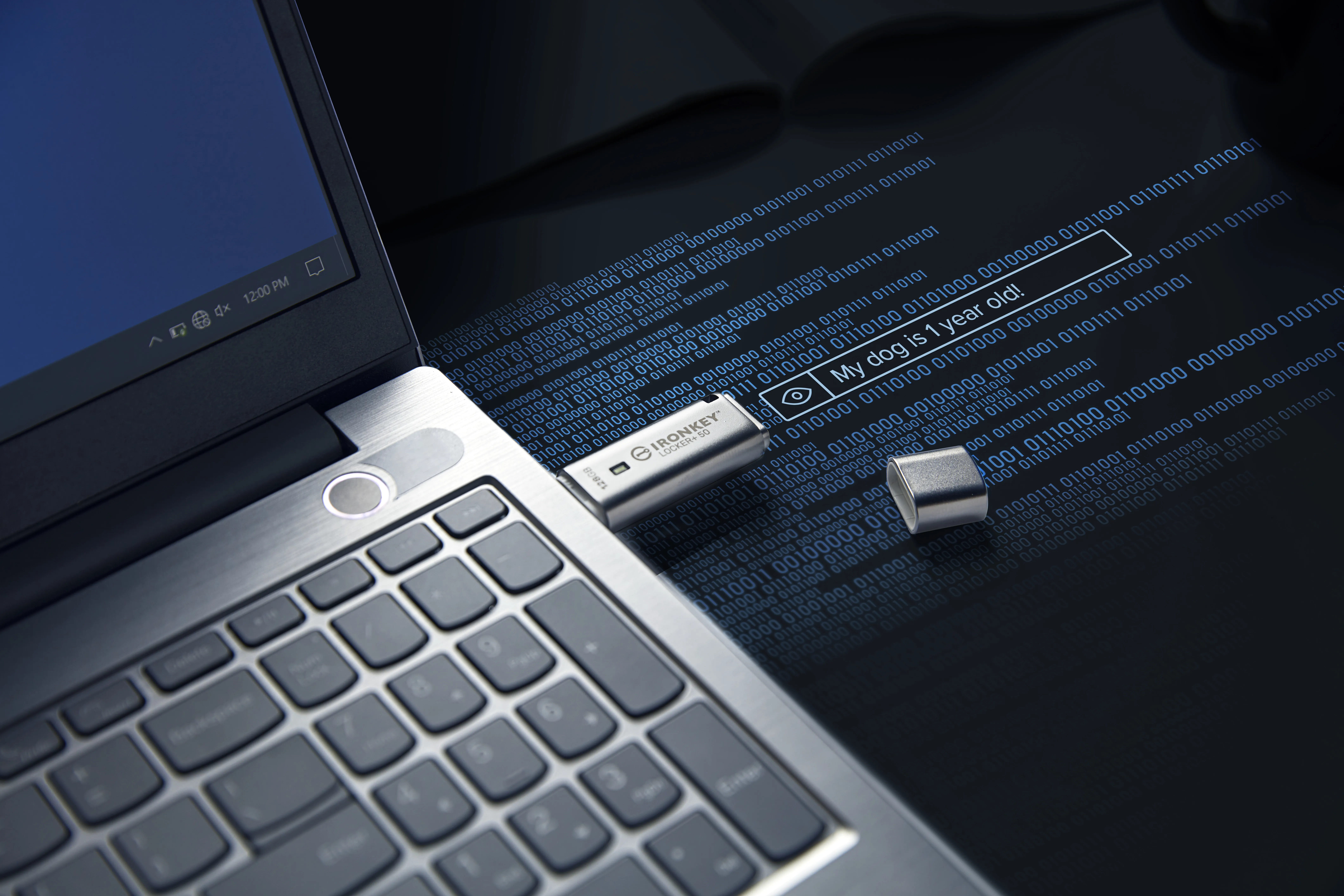 Kingston IronKey Locker+ 50 128 Gt USB 3.2 Gen 1x1 -muistitikku, Hopea