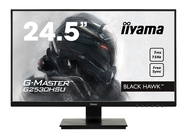 iiyama 24,5" FHD ETE Panel