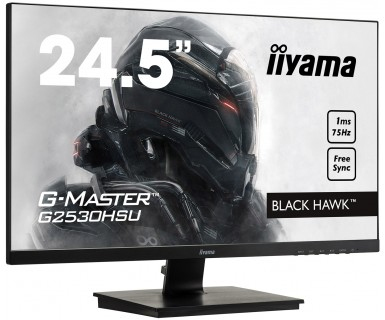 iiyama 24,5" FHD ETE Panel