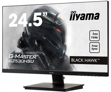 iiyama 24,5" FHD ETE Panel