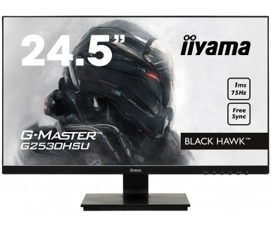 iiyama 24,5" FHD ETE Panel