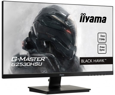 iiyama 24,5" FHD ETE Panel
