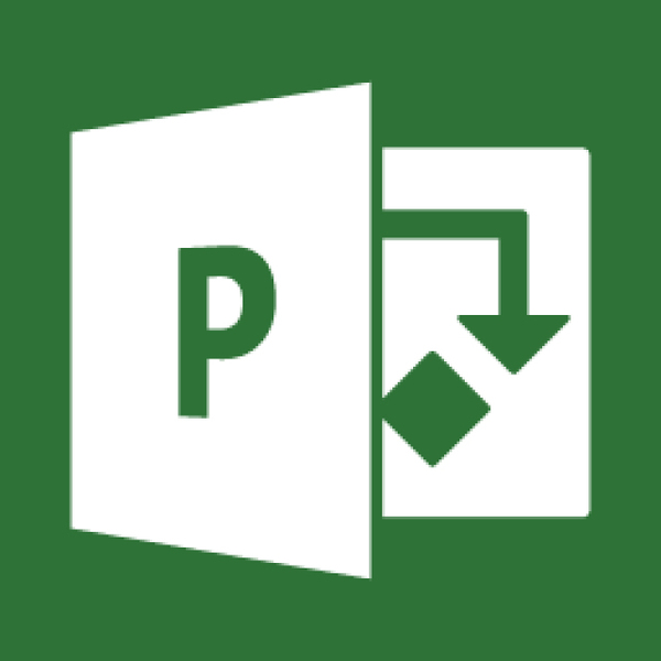 MS Project 2016 Medialess ENG