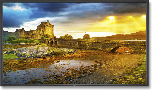 MultiSync X651UHD-2 65&quot; LFD