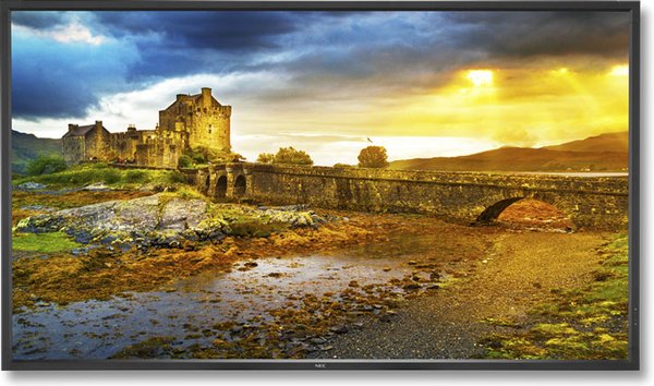 MultiSync X651UHD-2 65&quot; LFD