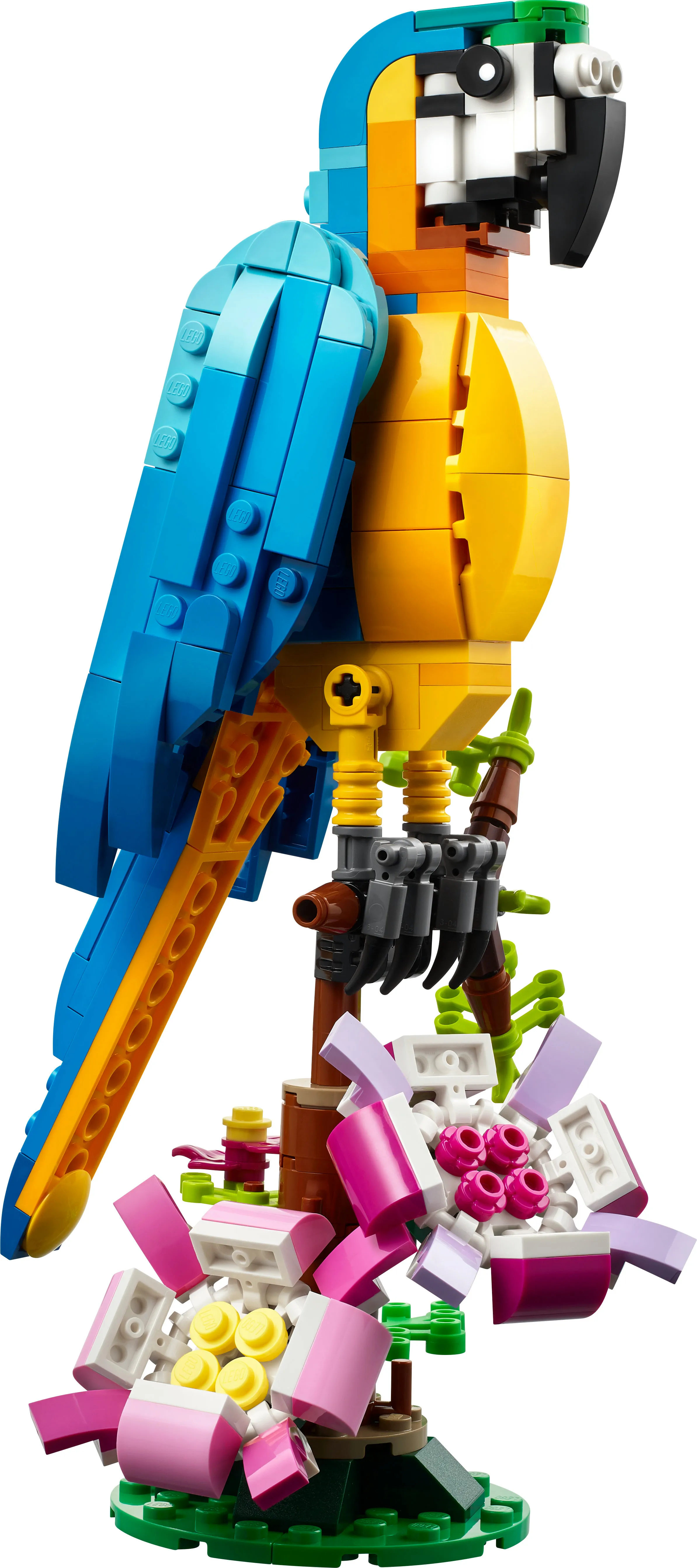 LEGO Creator 3in1 Exotic Parrot 31136