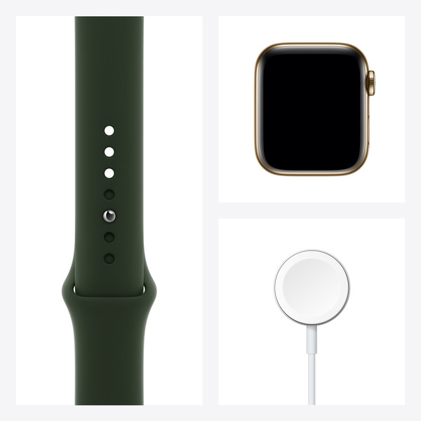 Apple Watch Series 6 GPS + Cellular, 40mm Gold Stainless Steel Case with Cyprus Green Sport Band - Regular