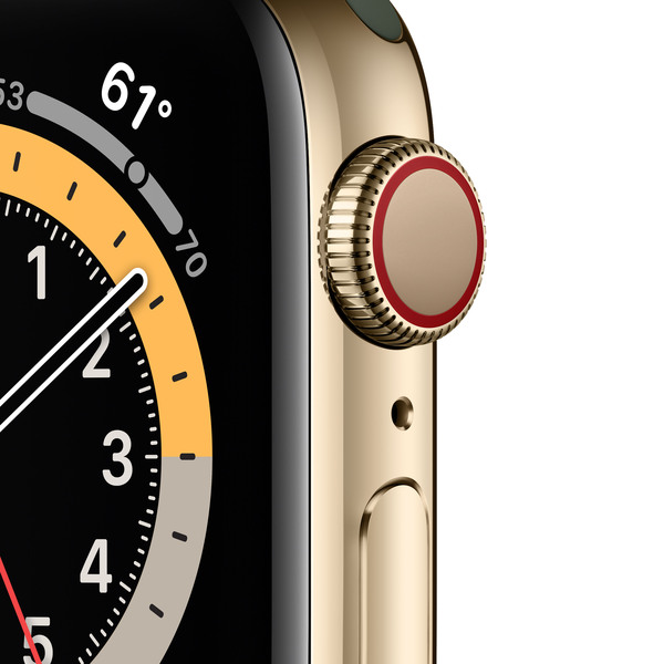 Apple Watch Series 6 GPS + Cellular, 40mm Gold Stainless Steel Case with Cyprus Green Sport Band - Regular