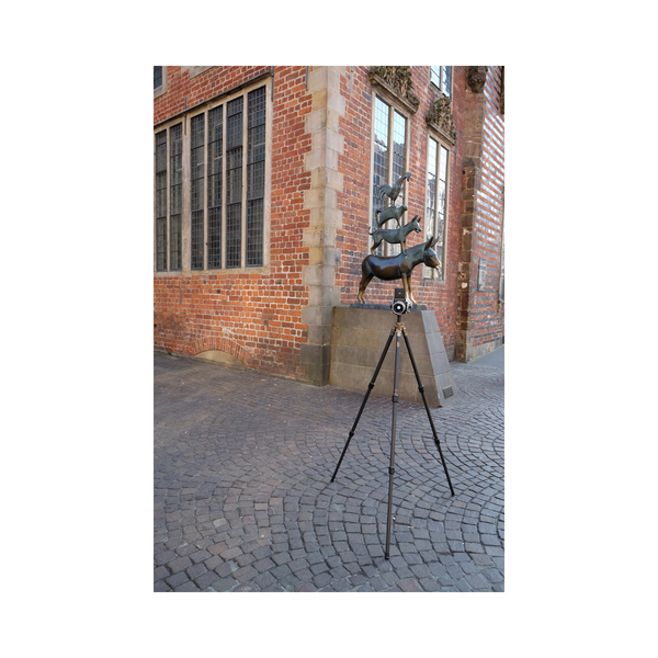 FOTOPRO FOTOPRO T-63C CARBON TRIPOD BLAC