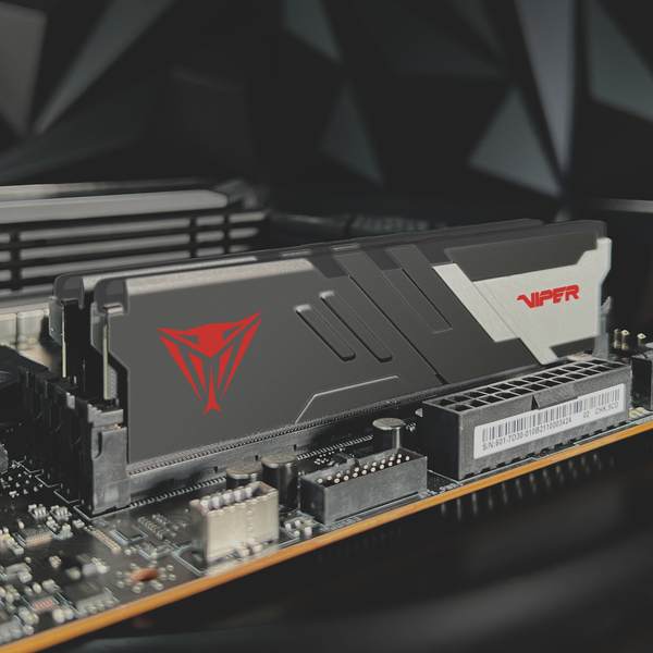 Patriot Viper Venom DDR5 series DDR5 SDRAM 32GB kit 6400MHz CL32  On-die ECC DIMM 288-PIN