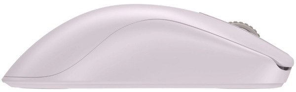 Zowie FK1-DW Large Wireless Gaming Mouse, Matte Grey