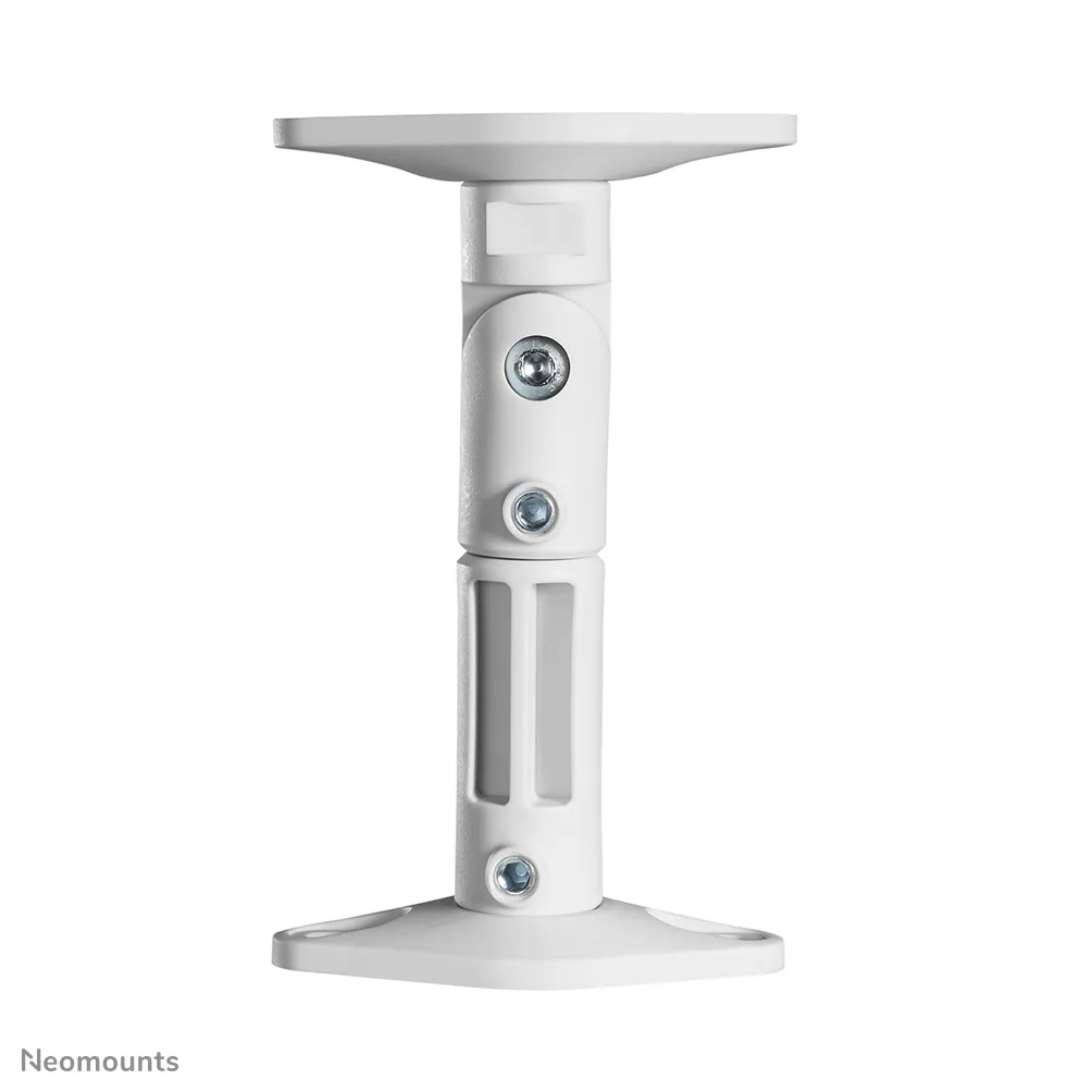 Speaker Wall- &amp; Ceiling Mount